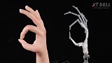 【1月キャンペーン 二つ目ヘッド無料 耐パンク性ハードハンド無料/ROS口開閉機能無料/関節指など無料】XTDOLL ヘッドとボディ自由に組合 フルシリコンドール 等身大リアルラブドール