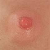 TOP-CYDOLL トルソー 110cm Gカップ Tanya-2 ROSヘッド フルシリコン製ラブドール 巨乳巨尻セクシー添い寝美人