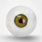 TOP-CYDOLL トルソー 110cm Gカップ Polly  ROSヘッド フルシリコン製ラブドール 欧米系美女 ダッチワイフ セクシーボディ