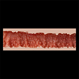 【Inspiration 2.0】 ZELEX  新作ボディ162cm Dカップ GE60_1(GE06MJ)ヘッド 33.5kg 高品質シリコン製ダッチワイフ ラブドール 最新軽量化技術 　