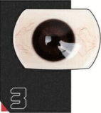 Doll Senior リアル皮膚ボディ165cm Fカップ ヘッド#27 凛纱Linsha 艶やかな紅衣をまとい狐耳美少女等身大リアルドール