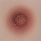 Yearndoll 最新作ボディリアル皮膚版155cm Iカップ 【高級版】LZ01ヘッド 元気で小悪魔的な高級シリコン等身大アニメドール