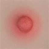 Yearndoll 最新作ボディリアル皮膚版155cm Iカップ 【高級版】LZ01ヘッド 元気で小悪魔的な高級シリコン等身大アニメドール