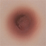 Yearndoll 最新作ボディリアル皮膚版155cm Iカップ 【高級版】LZ01ヘッド 元気で小悪魔的な高級シリコン等身大アニメドール