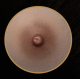 【新作キャンペーン 12%OFF or B43・B49トルソー無料プレゼント｜11月15日まで】TYPEグラビア 超擬真の肌テクスチャ TOPSINO 96cm Hカップ トルソー T46 Adrianaヘッド 宣伝写真RRS+メイク アートワークメイク対応可 ケンタウロス戦士スタイル ラブドール