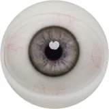 FANREAL 155cm Fカップ リアルスキンテクスチャー Ginaヘッド 宣伝画像rosヘッド 女性の自然な曲線美のセクシー下着着せるセクシーラブドール