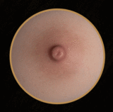 【新作キャンペーン 12%OFF or B43・B49トルソー無料プレゼント｜11月15日まで】TYPEグラビア 超擬真の肌テクスチャ TOPSINO 96cm Hカップ トルソー T43b 米苏(misu)ヘッド 宣伝写真アートワークメイク RRS+メイク選択可 ラブドール人魚姫 コスプレ ため息が出るほど綺麗