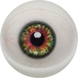 FANREAL 155cm Fカップ リアルスキンテクスチャー Ginaヘッド 宣伝画像rosヘッド 女性の自然な曲線美のセクシー下着着せるセクシーラブドール