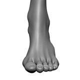 MD DOLL 168cm Eカップ(168B)  M44ヘッド Mary ハロウインメイク 闇夜の薔薇のように妖艶で神秘の等身大セクシーリアルドール