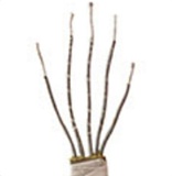 MD DOLL 150cm Eカップ M41ヘッド Gigi ピンクメイド制服娘 ロリータリアル製ラブドール 可愛い美少女人形