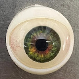 Yearndoll 155cm Cカップ 【通常版】 Y212ヘッド 掲載画像フルシリコンドール  口開閉機能 リアルな口腔構造あり 等身大リアルラブドール