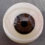 Yearndoll 155cm Cカップ 【通常版】 Y212ヘッド 掲載画像フルシリコンドール  口開閉機能 リアルな口腔構造あり 等身大リアルラブドール