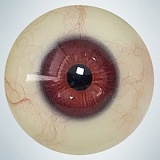 全種類ヘッドとボディ自由に組合 カスタマ専用ページ 人造人(RZRDOLL)  等身大高級シリコン製上品リアルラブドール