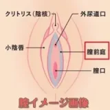 全種類ヘッドとボディ自由に組合 カスタマ専用ページ 人造人(RZRDOLL)  等身大高級シリコン製上品リアルラブドール