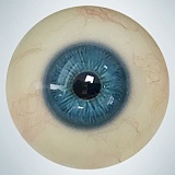 全種類ヘッドとボディ自由に組合 カスタマ専用ページ 人造人(RZRDOLL)  等身大高級シリコン製上品リアルラブドール