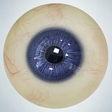 全種類ヘッドとボディ自由に組合 カスタマ専用ページ 人造人(RZRDOLL)  等身大高級シリコン製上品リアルラブドール