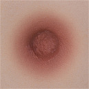 AXBDOLL 掲載画像シリコンヘッドAGB04+101cm AAカップ（バスト平ら） tpeボディ癒しパートナーリアル人形