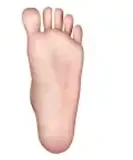 XYDOLL 164cm Fカップ SM064ヘッド フルシリコン製等身大ラブドール ブラウン系ドレスを着たエレガントなダッチワイフ