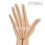 XTDOLL 163cm Ultraボディ Iカップ XT-16(Sienna）ヘッド 欧米風シリコンドール  巨乳アダルト人形 大人の魅力