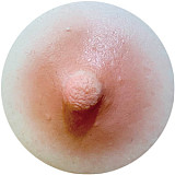 XTDOLL 163cm Ultraボディ Iカップ XT-16(Sienna）ヘッド 欧米風シリコンドール  巨乳アダルト人形 大人の魅力