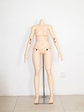 guavadoll（グアバ）番石榴 160cm Cカップ DM02ヘッド  ビニール（PVC）ヘッドとボディ bjdタイプ等身大アニメドール 球体関節人形