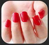 6YE DOLL 165cm Eカップ シリコンヘッド#218 ROS口開閉機能付き くびれがあり ボリュームのあるヒップのTPEボディ ハイブリッドリアル製ラブドール