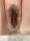 植毛加工あり＃1
