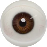 【一体型タイプ】FANREAL 155cm Fカップ リアルスキンテクスチャー  Mariaヘッド  シームレスラブドール 継ぎ目なし 宣伝画像ROS機能付き