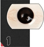 Doll Senior 163cm-Fカップ 06菜奈(cainai)ヘッド 掲載画像はフルシリコン製 ヘッドとボディの材質選択可能 等身大リアルラブドール