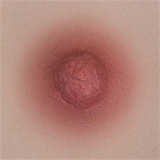 Yearndoll 半身トルソー Iカップ 【高級版】LZ02ヘッド メイド制服着せてコスプレ可愛い娘アニメドール