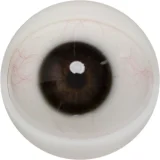 【一体型タイプ】FANREAL 170cm Gカップ シームレスドール リアル皮膚版 Mariaヘッド欧米系ダッチワイフ より自然で美しいボディライン