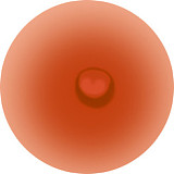 Game Lady 168cm Dカップ+アニメno.05 コスプレ フルシリコン製  等身大リアルラブドール