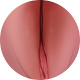 Game Lady 168cm Dカップ+アニメno.05 コスプレ フルシリコン製  等身大リアルラブドール