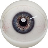 【12月キャンペーン 全商品10％オフ 追加二つ目ヘッド無料/髪の毛の植毛無料/関節指/ハードフィット/足指関節など無料】FANREAL フルシリコン製 ヘッドとボディ自由に組合可能 等身大 ラブドール  リアルドール