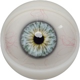 【12月キャンペーン 全商品10％オフ 追加二つ目ヘッド無料/髪の毛の植毛無料/関節指/ハードフィット/足指関節など無料】FANREAL フルシリコン製 ヘッドとボディ自由に組合可能 等身大 ラブドール  リアルドール