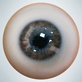 人造人(RZRDOLL)  最新作NO.23 楚儿（chuer) 160cm Dカップ リアルラブドール 上品でセクシーなダッチワイフ