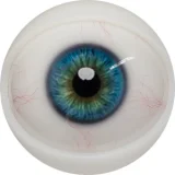 FANREAL 158CM  Bカップ 最新作ボディー  #芊(qian)ヘッド フルシリコン製ラブドール