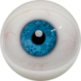 FANREAL 158CM  Bカップ 最新作ボディー  #芊(qian)ヘッド フルシリコン製ラブドール