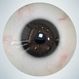 人造人(RZRDOLL)  ヘッド 楚儿（chuer)  NO.23 160cm Dカップ 究極版ボディRメイク 高級リアルドール 日常パートナー彼女系シリコンドール