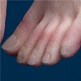 蛍火日記 165cm Cカップ MAXリアル皮膚版 Lilyヘッド メイク① シリコン製ダッチワイフ リアルなそばかすメイクの欧米美人セックスドール