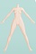 156cm Dカップ