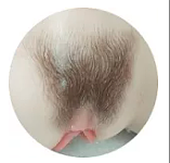 「Real Skinシリーズ」Sanhui doll 最新作シームレスドール 146cm Gカップ   #44ヘッド妙晴（miaoqing）超擬真の肌テクスチャ 巨乳リアル皮膚ビキニ美少女ラブドール