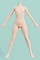 130cm Aカップ