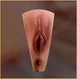 AJLDOLL 佳美（Jiamei）ヘッド 168cm Gカップ 超軽量化超柔らかいBBW巨乳巨尻ボディ リアルスキンボディ実践向けセクシーダッチワイフ