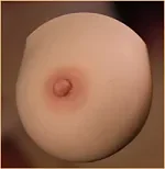 AJLDOLL 佳雯（Jiawen）ヘッド 168cm Gカップ 超軽量化超柔らかいBBW巨乳巨尻ボディ