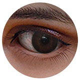 Rainstorm doll シームレスドール 153cm Iカップ  4番目の猫ヘッド シリコン製リアル皮膚ボディ 巨乳アダルト美少女ラブドール