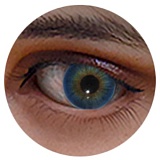 Rainstorm doll シームレスドール 169cm Dカップ  LAC NO.1 ちえヘッド 瞑り目表情 シリコン製リアル皮膚ボディ 美乳系添い寝美人ラブドール