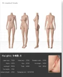 Doll Senior 168cm Fカップ 青羽Qingyuヘッド 掲載画像はフルシリコン製 ヘッドとボディの材質選択可能 等身大リアルラブドール