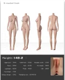 Doll Senior 168cm Fカップ 青羽Qingyuヘッド 掲載画像はフルシリコン製 ヘッドとボディの材質選択可能 等身大リアルラブドール