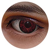 Rainstorm doll シームレスドール 169cm Dカップ  LAC NO.2 えみヘッド フェイシャルEX機能選択可能 高級シリコン製リアルスキンボディ 綺麗な花嫁等身大ラブドール